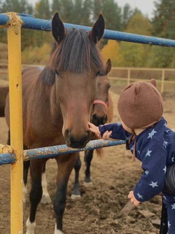 Конный клуб «Рассвет Лаишево»